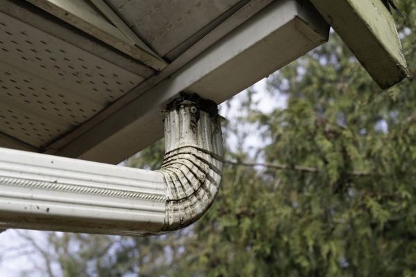 Cost of Roof Drain Replacement in Lansing