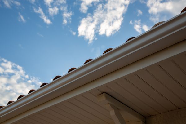 Cost of K Style Gutter Installation in Lansing