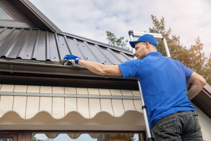 Handyman Services for Gutter Maintenance